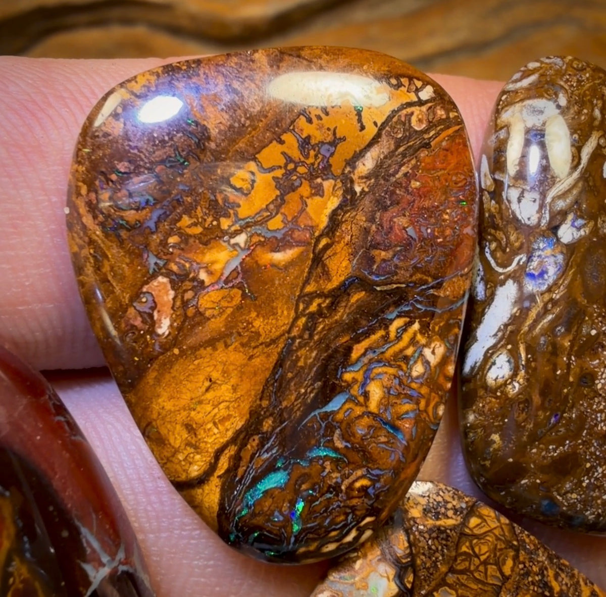 🔒 138.9cts - 5x Australian Tribal Boulder Opal’s. Wholesale Dealers Parcel