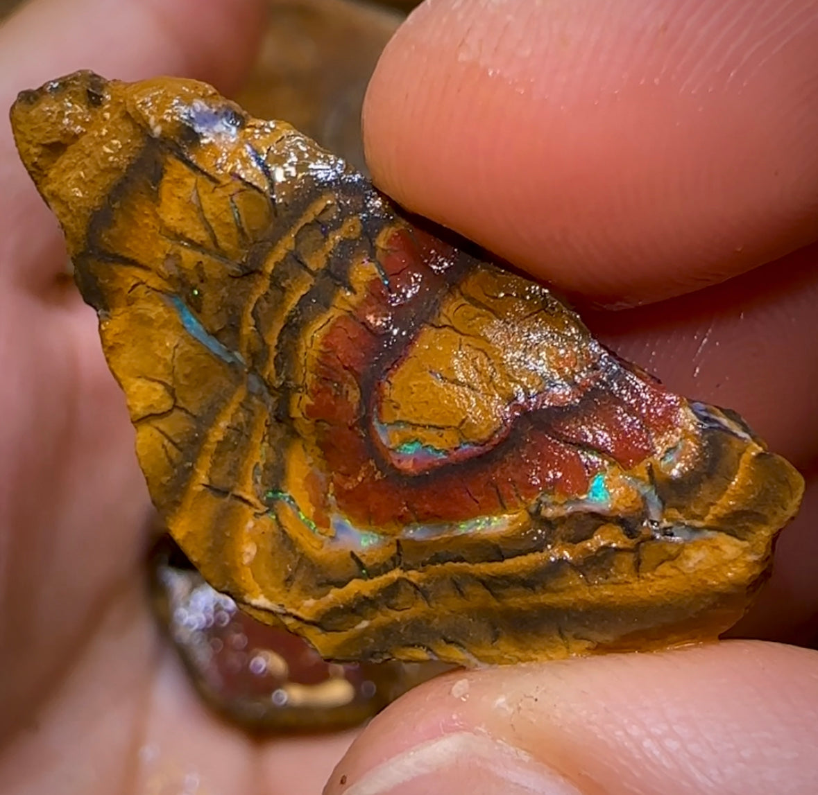 436.8cts - 12x Yowah Opal Rough Pieces. Australian Boulder Opal - Opal Whisperers