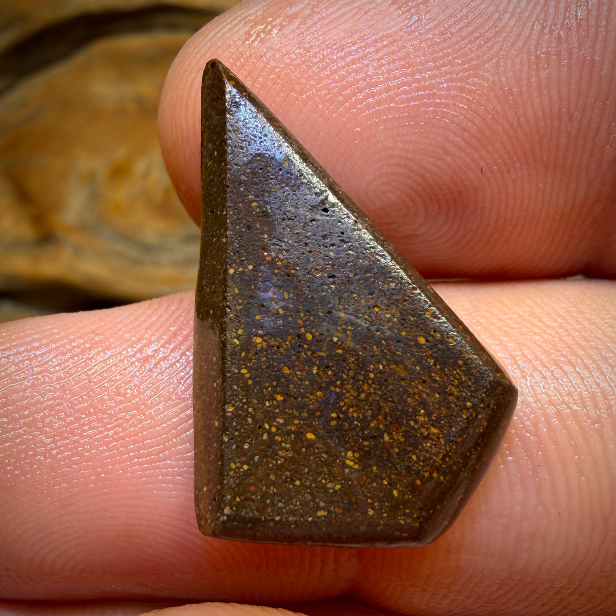 TGIF 13.7cts - Queensland Boulder Seam Opal Rub