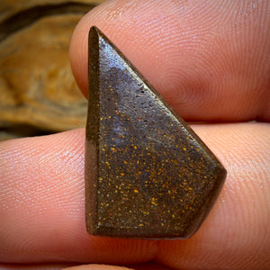 TGIF 13.7cts - Queensland Boulder Seam Opal Rub