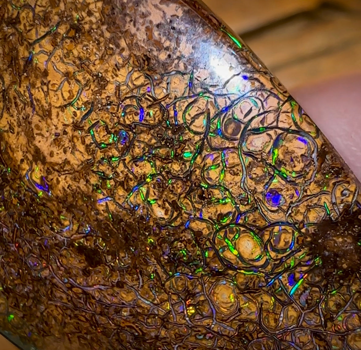 145.5cts - Large Queensland Boulder Opal. Yowah Tribal - Opal Whisperers