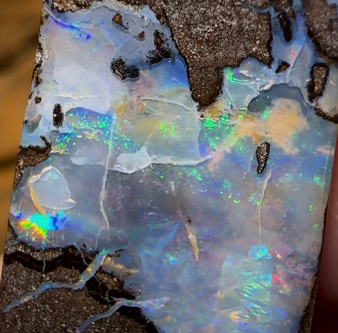 71cts - Queensland Boulder Seam Opal Red Multicolour - Opal Whisperers