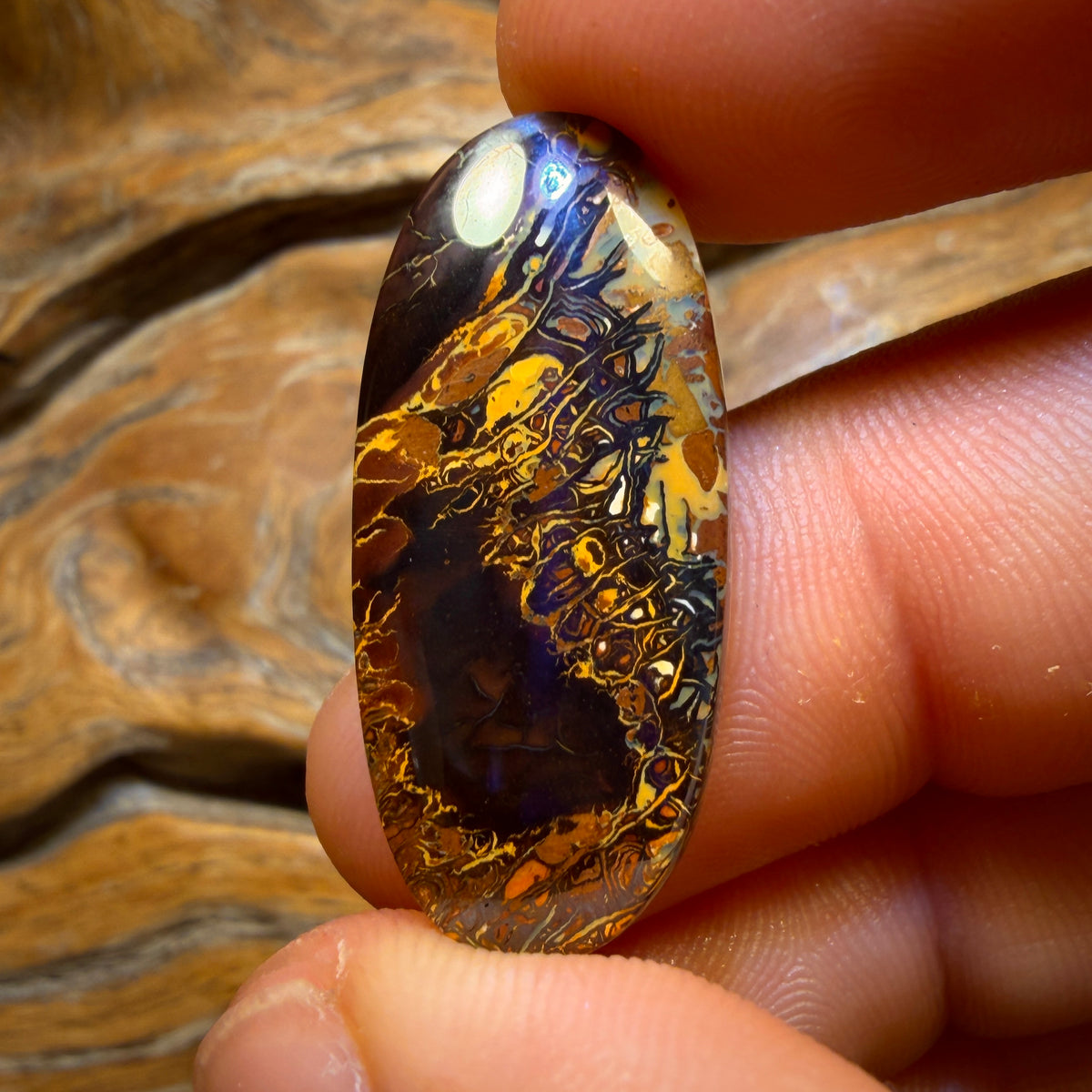 🔨 AUKTION 🔨 Ohne Mindestpreis 27,8cts – Tribal Queensland Boulder Opal. Rot, mehrfarbig