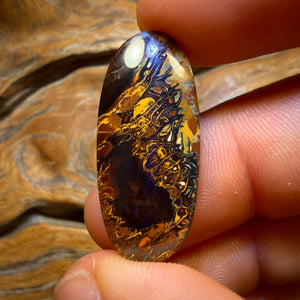 🔨 AUKTION 🔨 Ohne Mindestpreis 27,8cts – Tribal Queensland Boulder Opal. Rot, mehrfarbig