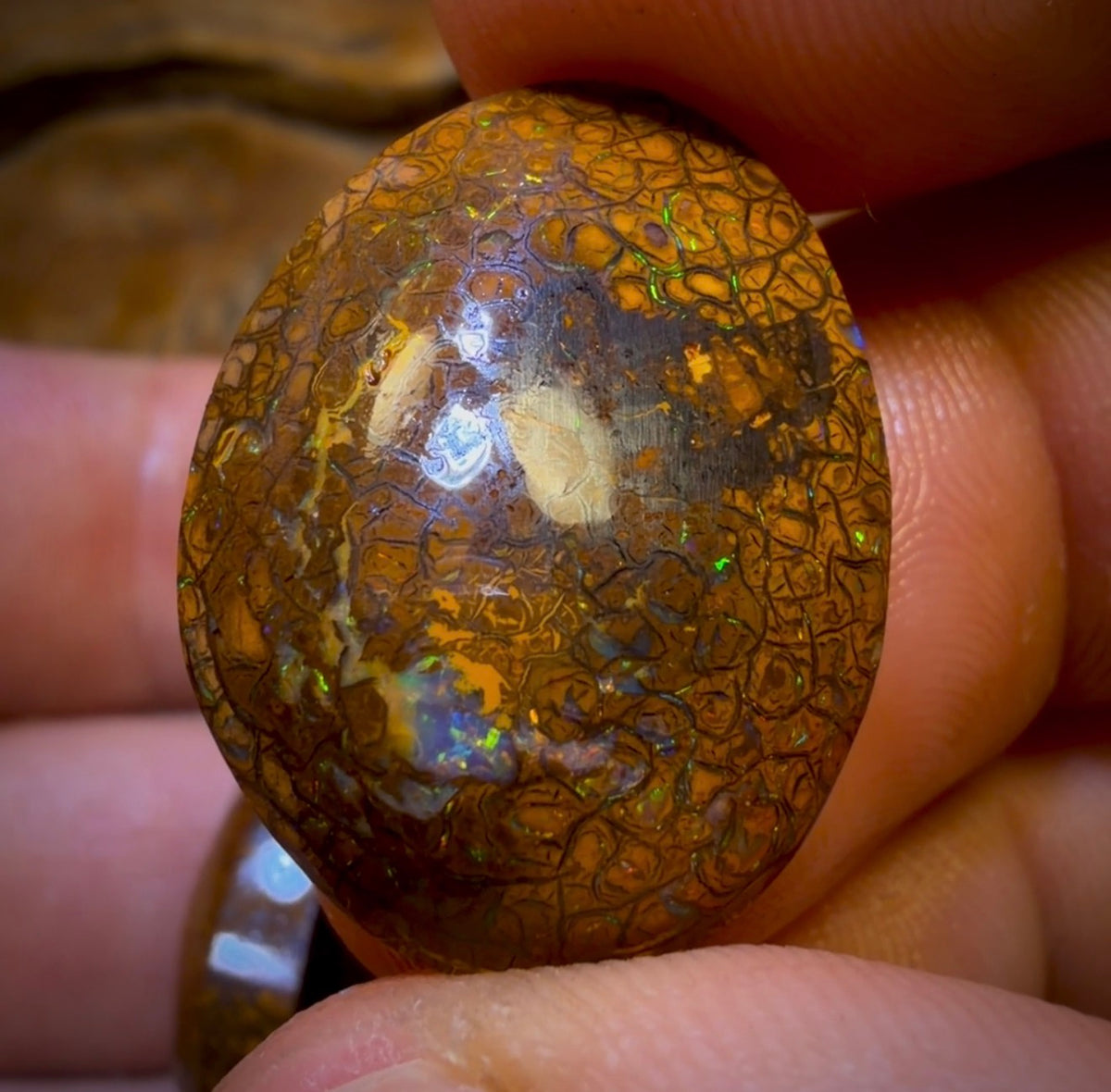 94.5cts- 4x Tribal Queensland Boulder Opal Rubs