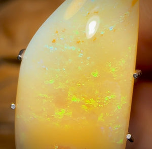 6.5cts - Very Old Rare Yowah Nut Pure Golden Yellow Crystal Opal