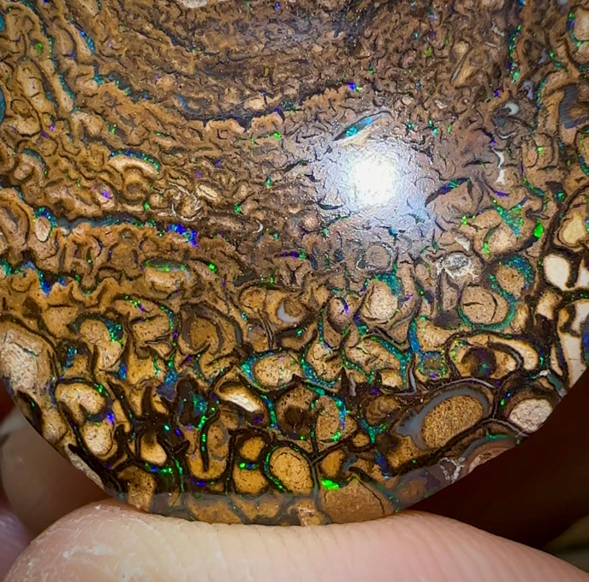 157.8cts - Yowah Nut Opal Matching Pair. Tribal Pattern - Opal Whisperers