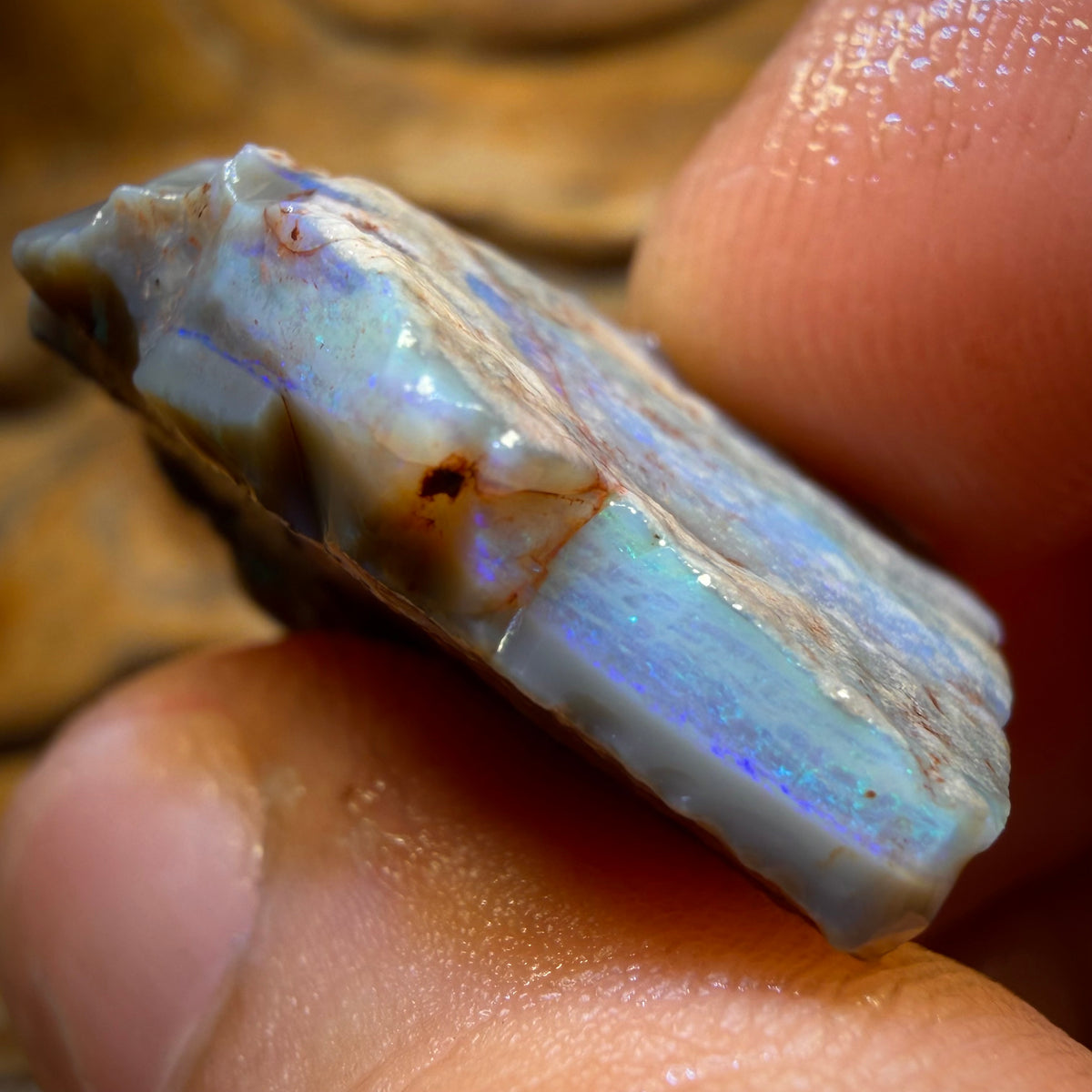 35.3cts - Lightning Ridge Opal Rough Piece