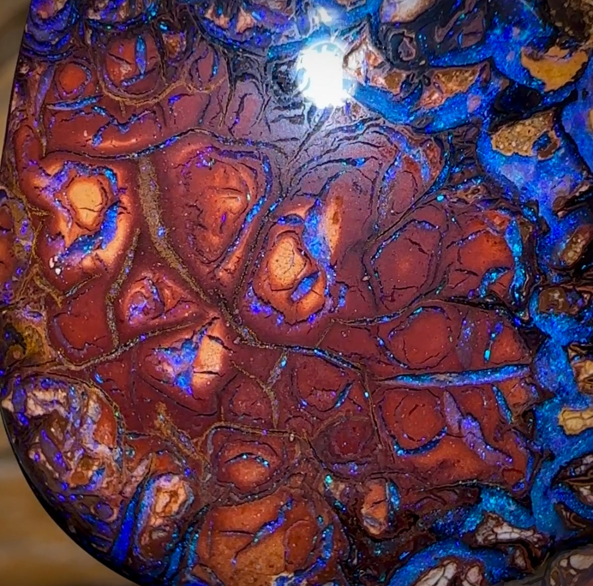 48.6cts - Tribal Queensland Boulder Opal from Yowah