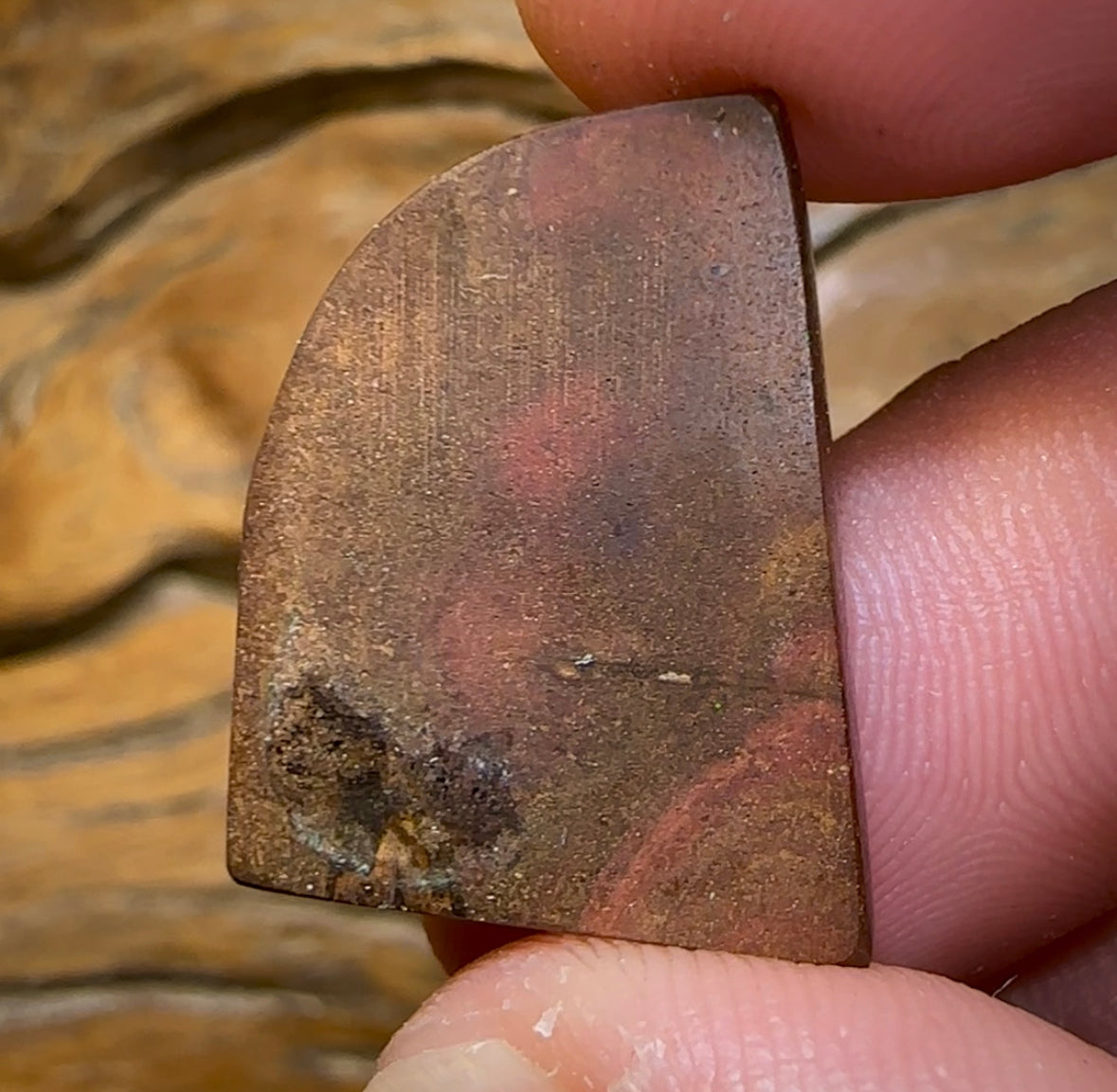 21.2cts - Australian Boulder Wood Cathedral Fossil Replacement Opal. ISAAC’S CUT - Opal Whisperers