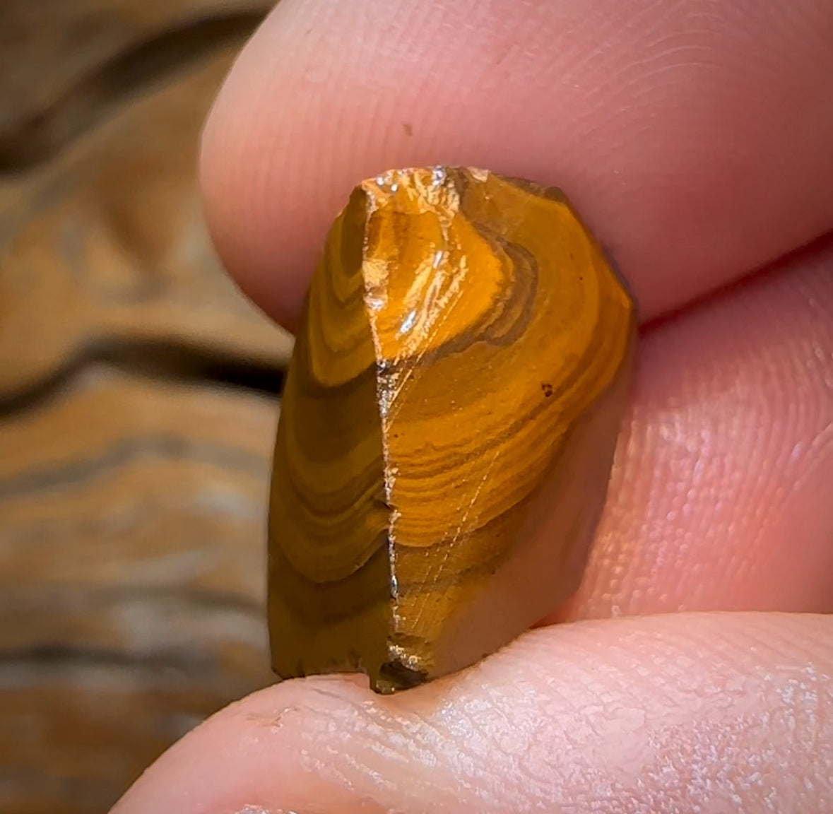 Auction Fall-Through = Your Gain! 🔥 Now More Than 50% Off RRP 🚨 15.3cts - Queensland Boulder Black Opal Rough Rub