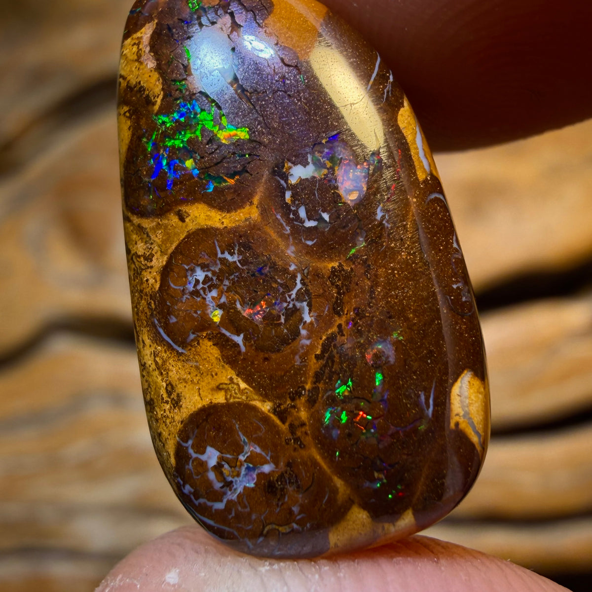 23.7cts - Fire Bubble Band Queensland Boulder Opal from Yowah. Red Multicolour