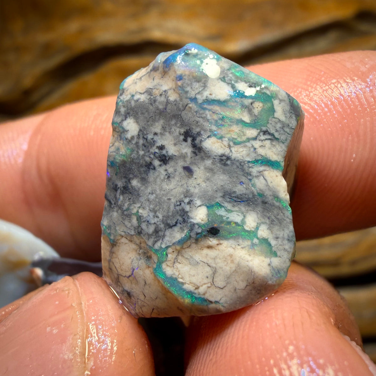 167.1cts - 5x Lightning Ridge Opal Rough Parcel