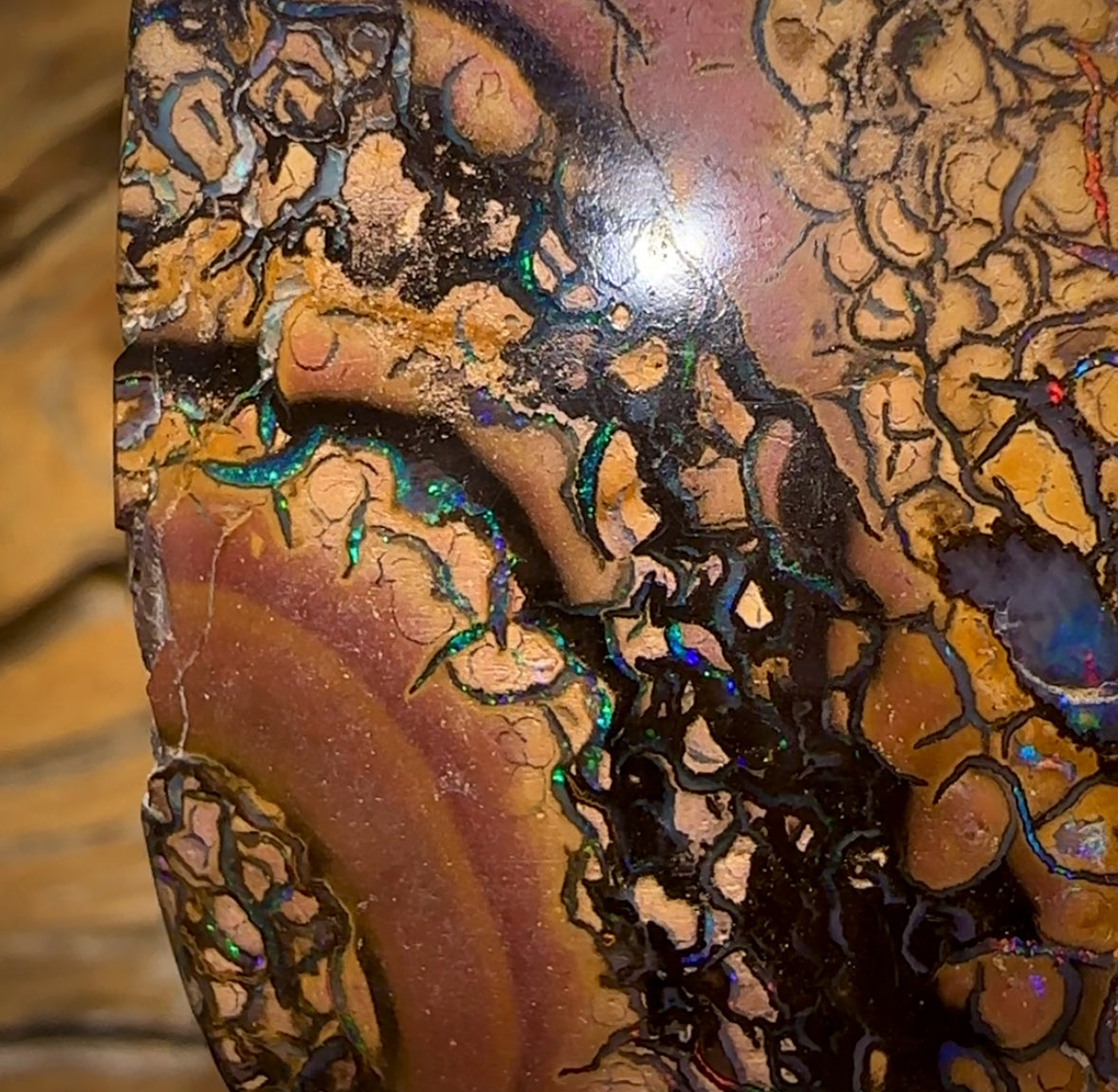 138.6cts - Large Tribal Queensland Boulder Opal