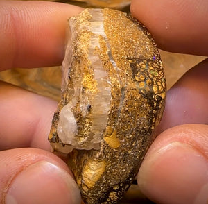 243.8cts - Rare Polished Tribal Yowah Nut Opal Geological Specimen with Gypsum