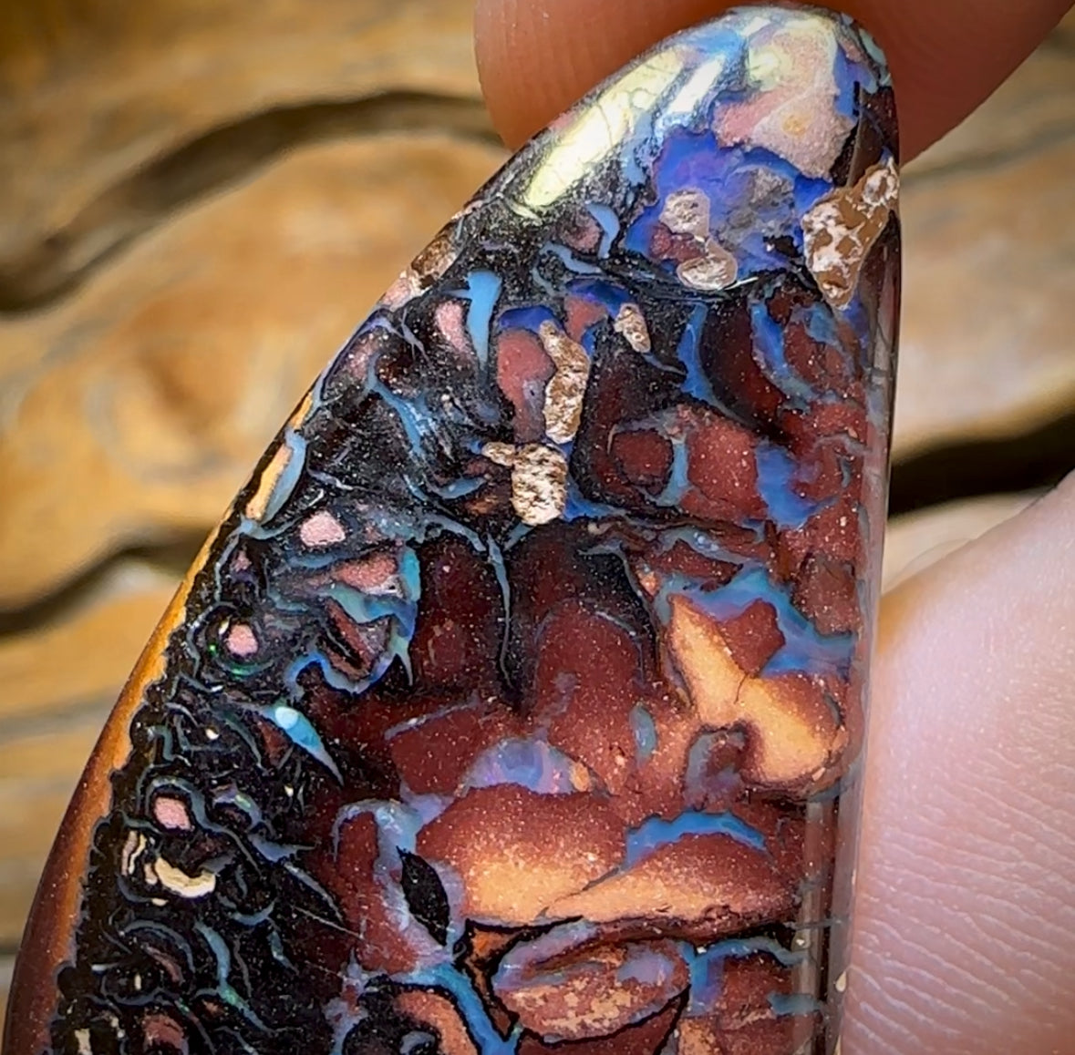 67.5cts - Tribal Queensland Boulder Opal from Koroit