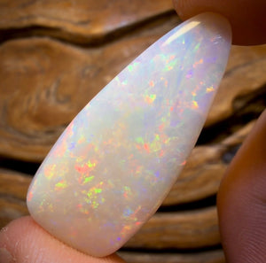 26.9cts - Olympic, South Australian White Opal