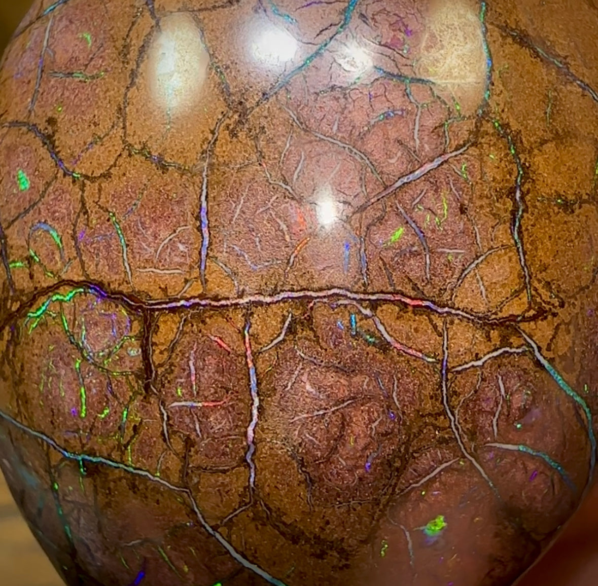 160cts - Large Yowah Nut Opal. Tribal Pattern - Opal Whisperers