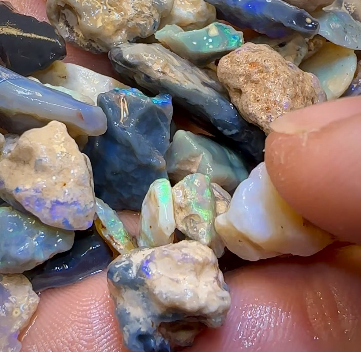 255cts - 40x Lightning Ridge Crystal, Dark and Black Opal Rough Parcel