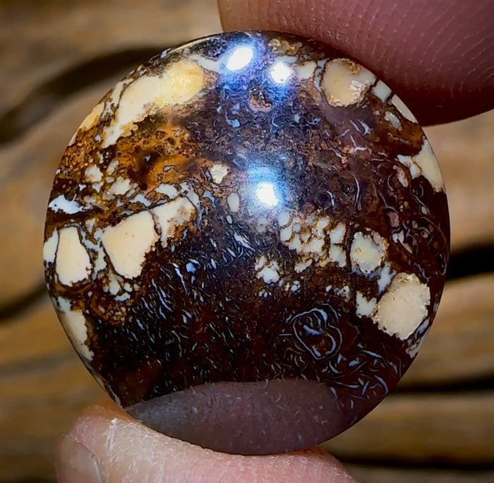 🔨 AUCTION 🔨 💎 High Roller Banger Auction 💎 31.5cts - Love It Tribal Pattern Queensland Boulder Opal from Koroit