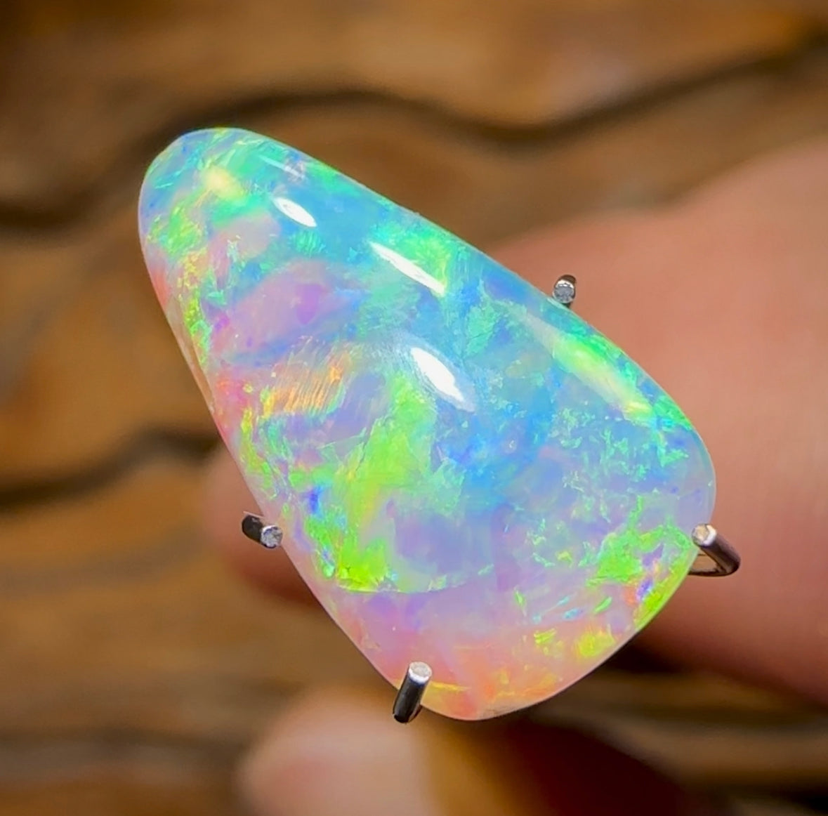 2.5cts - Top Quality Solid Australian Boulder Pipe Opal - Opal Whisperers