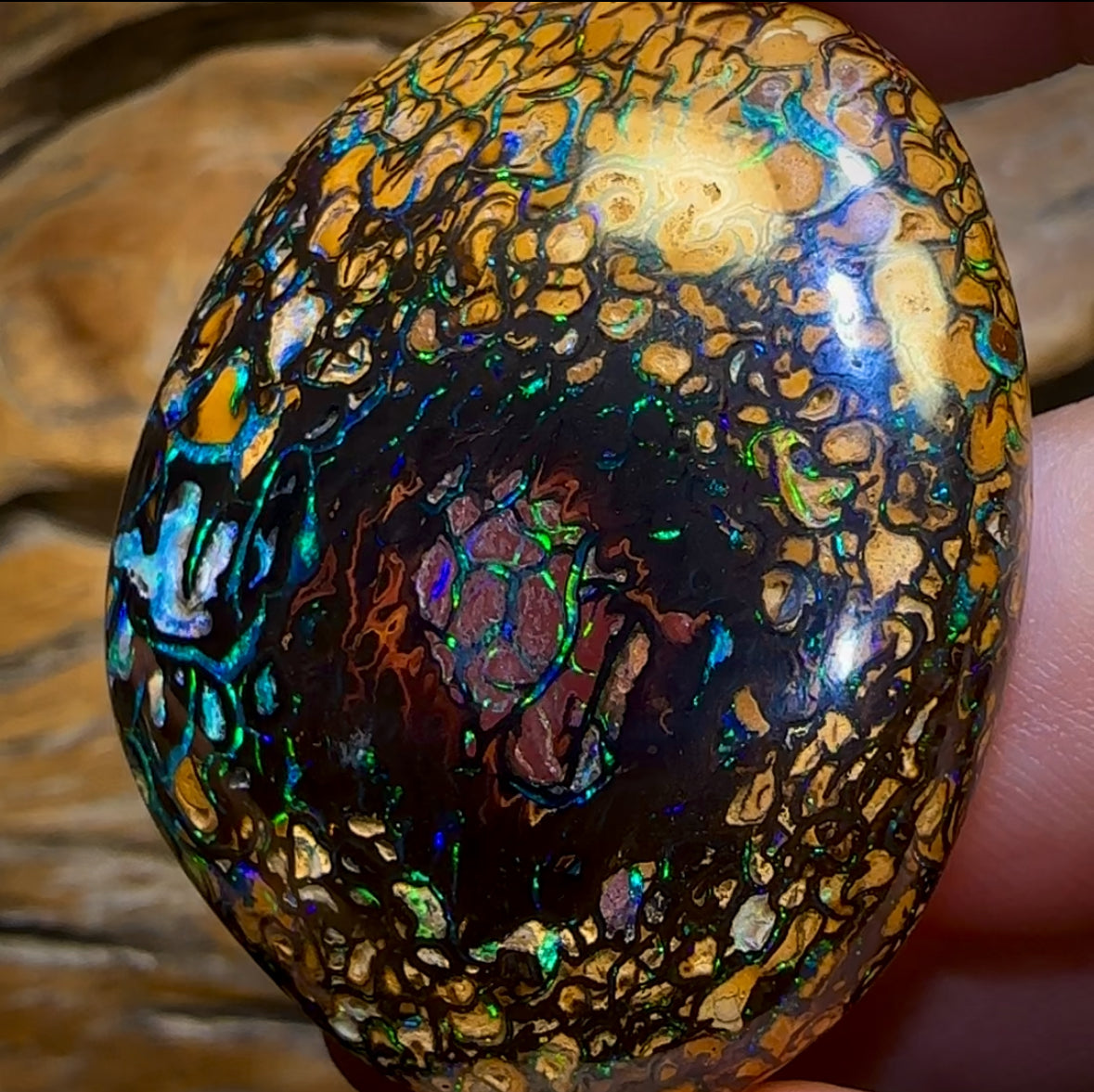 258.1cts - “Crazy Eyes” Top Tribal Yowah Nut Opal Pair. Double Sided