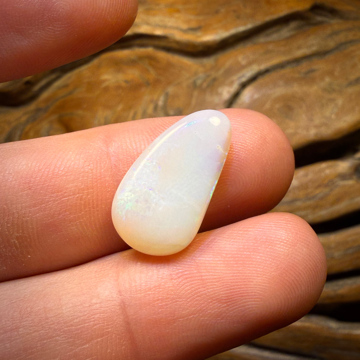 Half Price Card! 7.2cts - South Australian White Opal