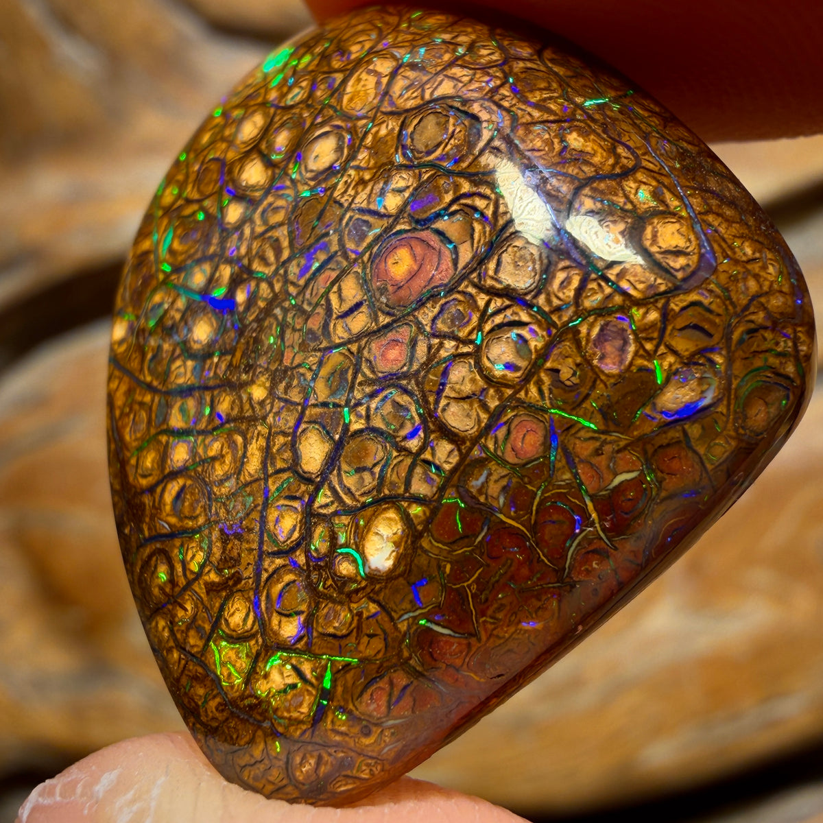 27.3cts - Tan Tribal Queensland Boulder Opal from Yowah. Electric Green