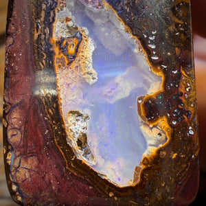 35 x 23mm - Drilled Queensland Boulder Opal Kernel Necklace