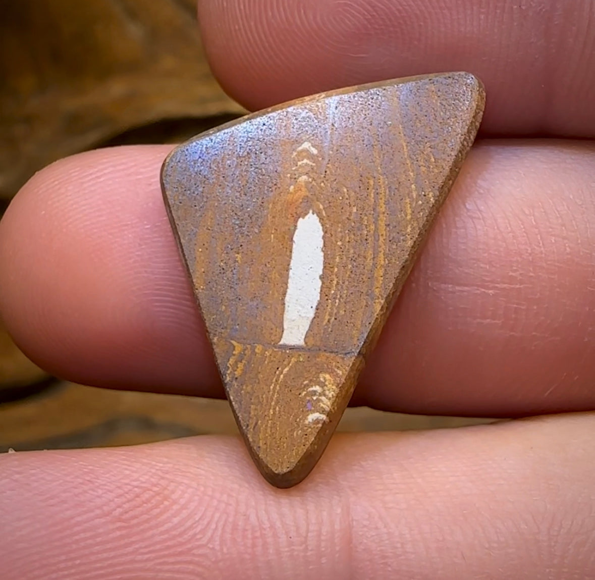 9.1cts - “Rainbow Parrot”Picture Queensland Boulder Seam Australian Opal. - Opal Whisperers