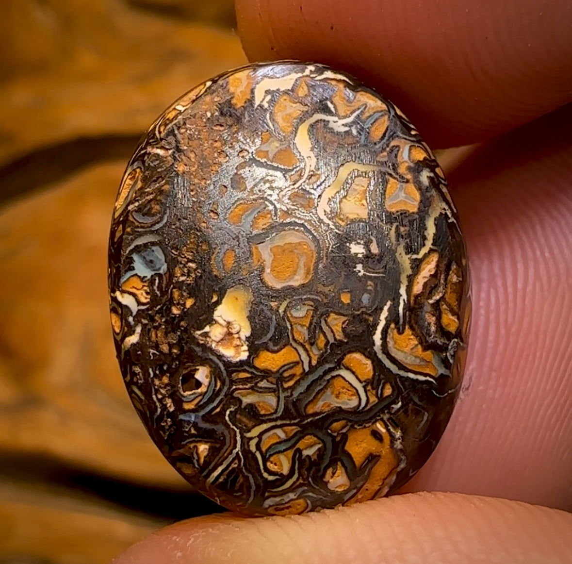 29.3cts - “Spot the Picture”Tribal Yowah Nut Opal. Featured on “Outback Opal Hunters”! Celebrity Bargain