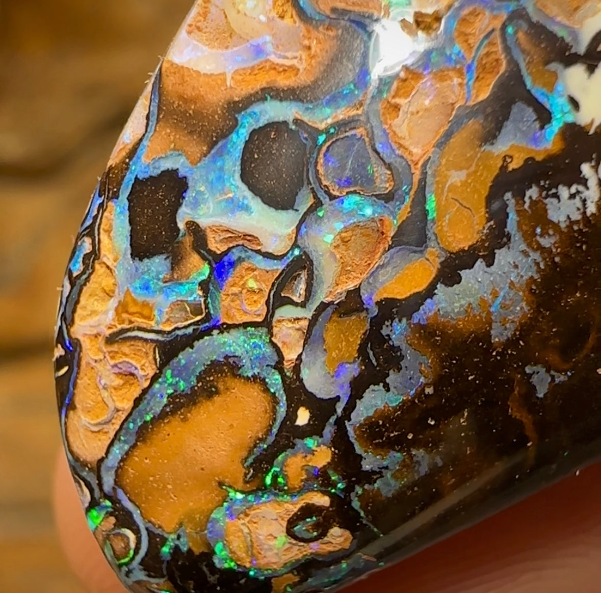 177.2cts - Queensland Boulder Australian Opal Specimen - Opal Whisperers