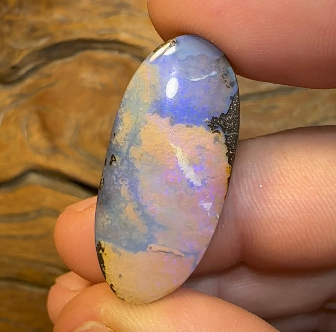 39.5cts - Solid Natural Boulder Opal - Opal Whisperers
