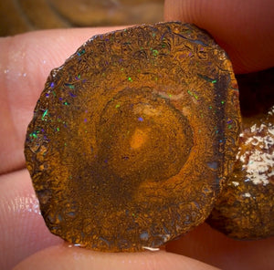 TGIF 32cts - Tribal Yowah Nut Opal Rough Pair. Australian Opal