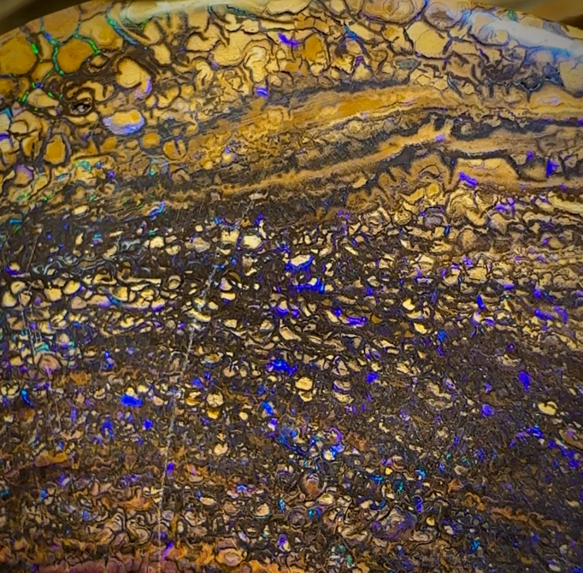 391.5cts - Large Tribal Queensland Boulder Opal. Polished Specimen