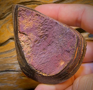 574.5cts - Large Tan Tribal Queensland Boulder Opal. Polished Specimen