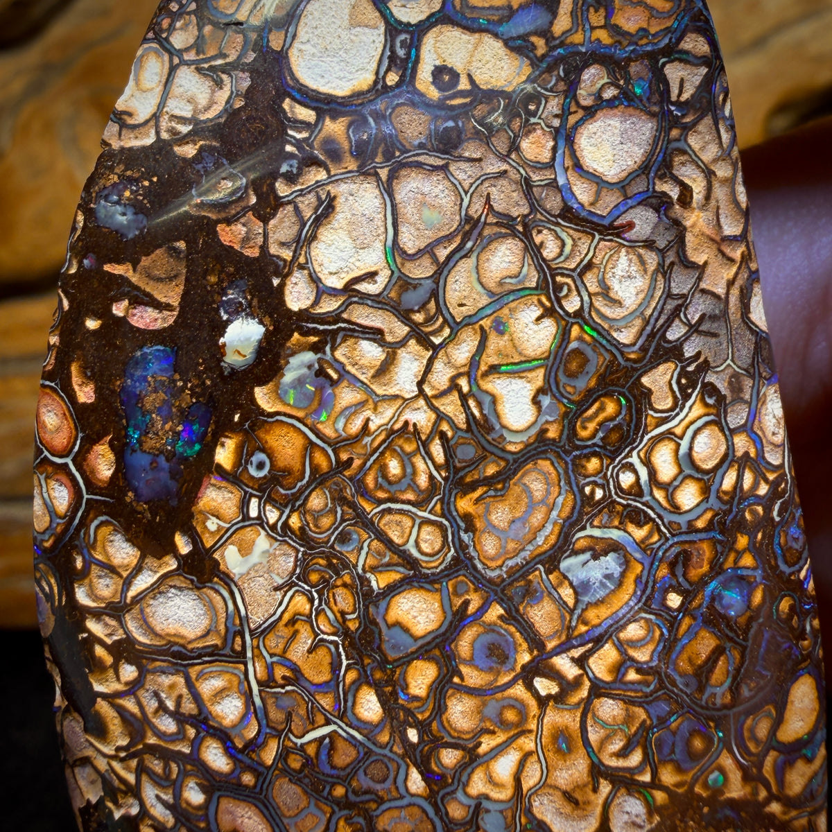 412.5cts - BIG Tan Tribal Australian Boulder Opal from Yowah