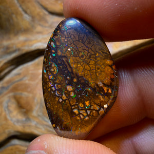 36.6cts - Tribal Yowah Nut Opal. Electric Green!