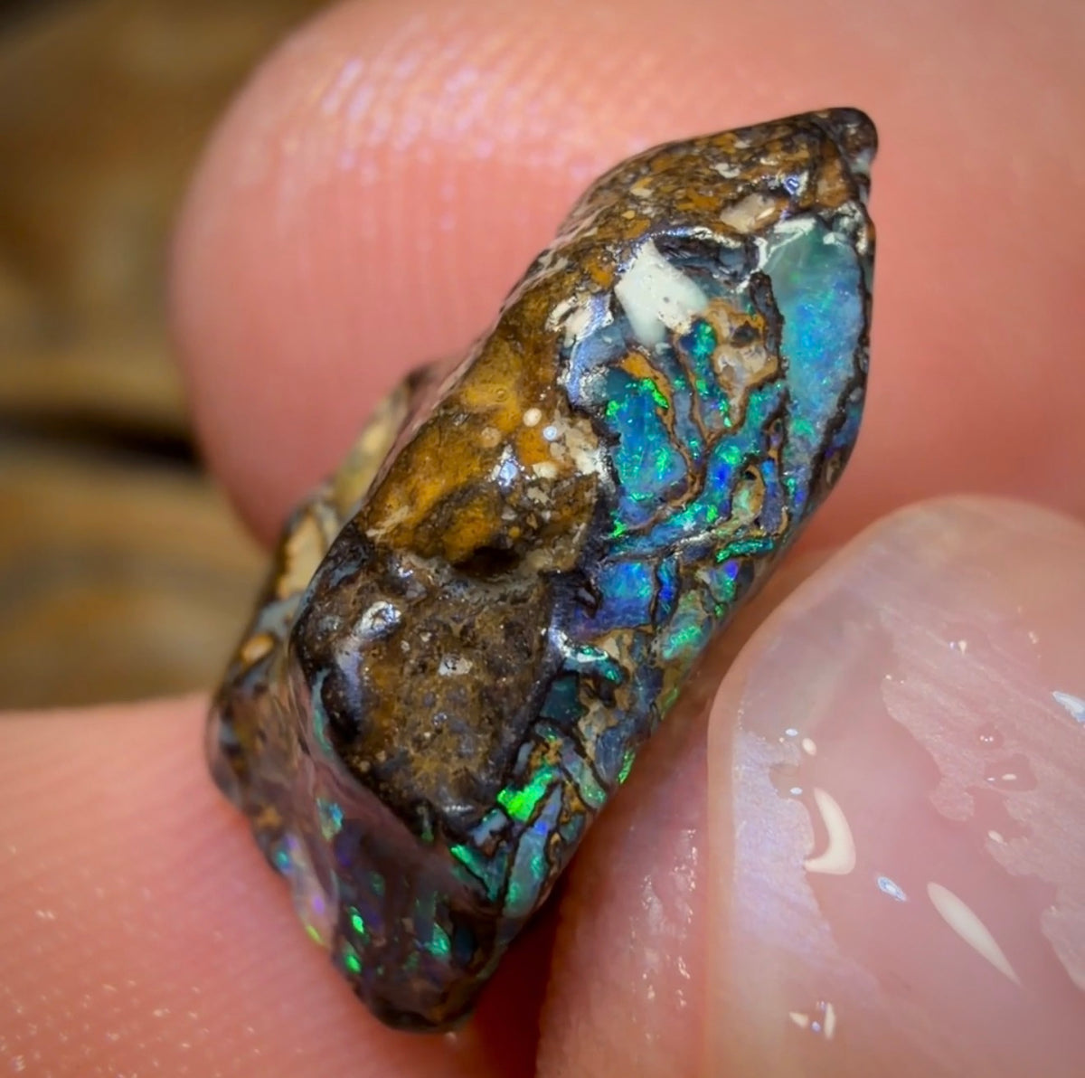 Opale brute Yowah Nut de 9,1 ct - Magnifique ! Tailleur de pierres pour bagues !