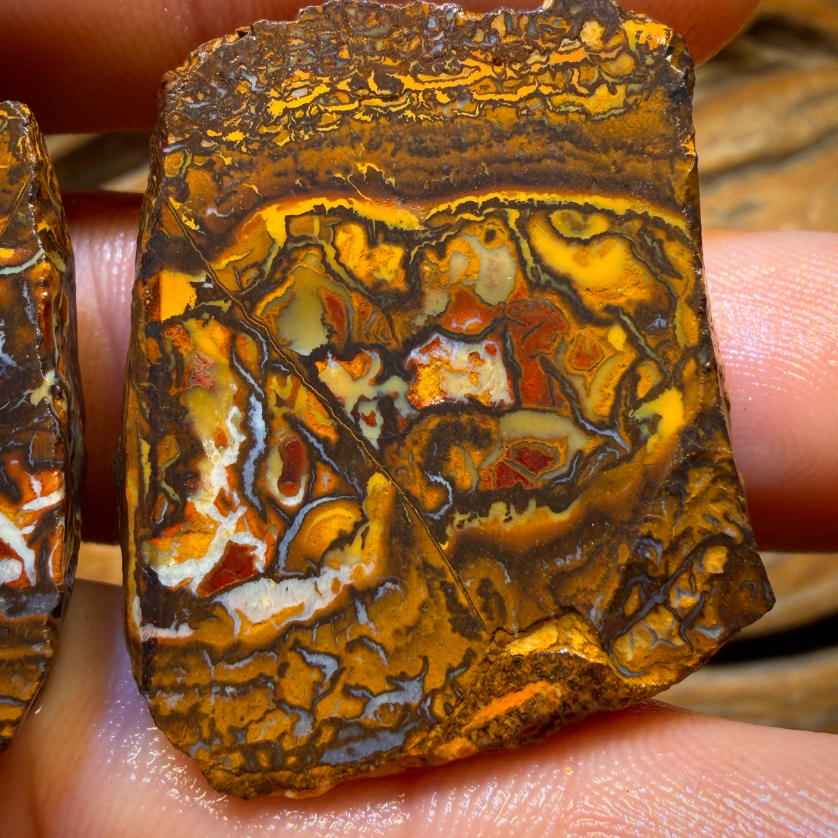126.2cts - Yowah Nut Tribal Opal Rough Specimen Pair