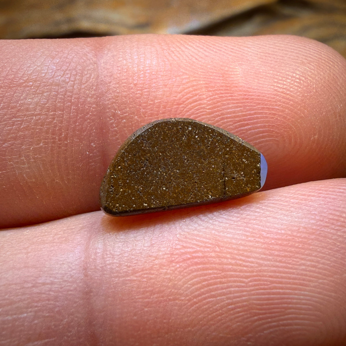 RoadShow Card! 3.4cts - Queensland Boulder Seam Opal from Winton