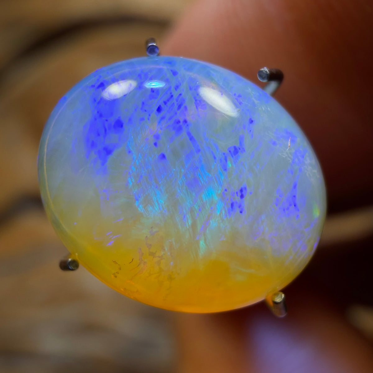 Roadshow Wild Card! 3.4cts - Lightning Ridge Crystal Opal