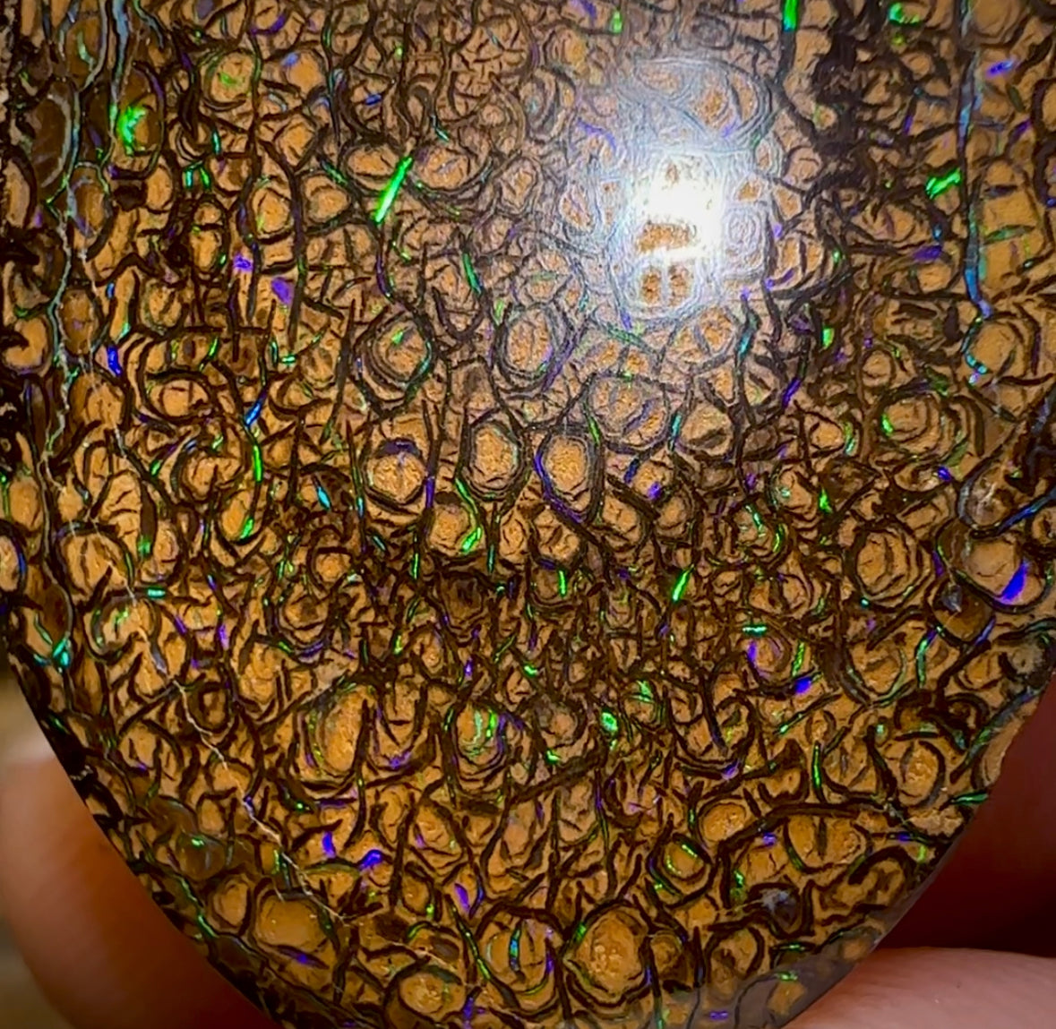 32.3cts - Yowah Nut Tribal Opal - Opal Whisperers