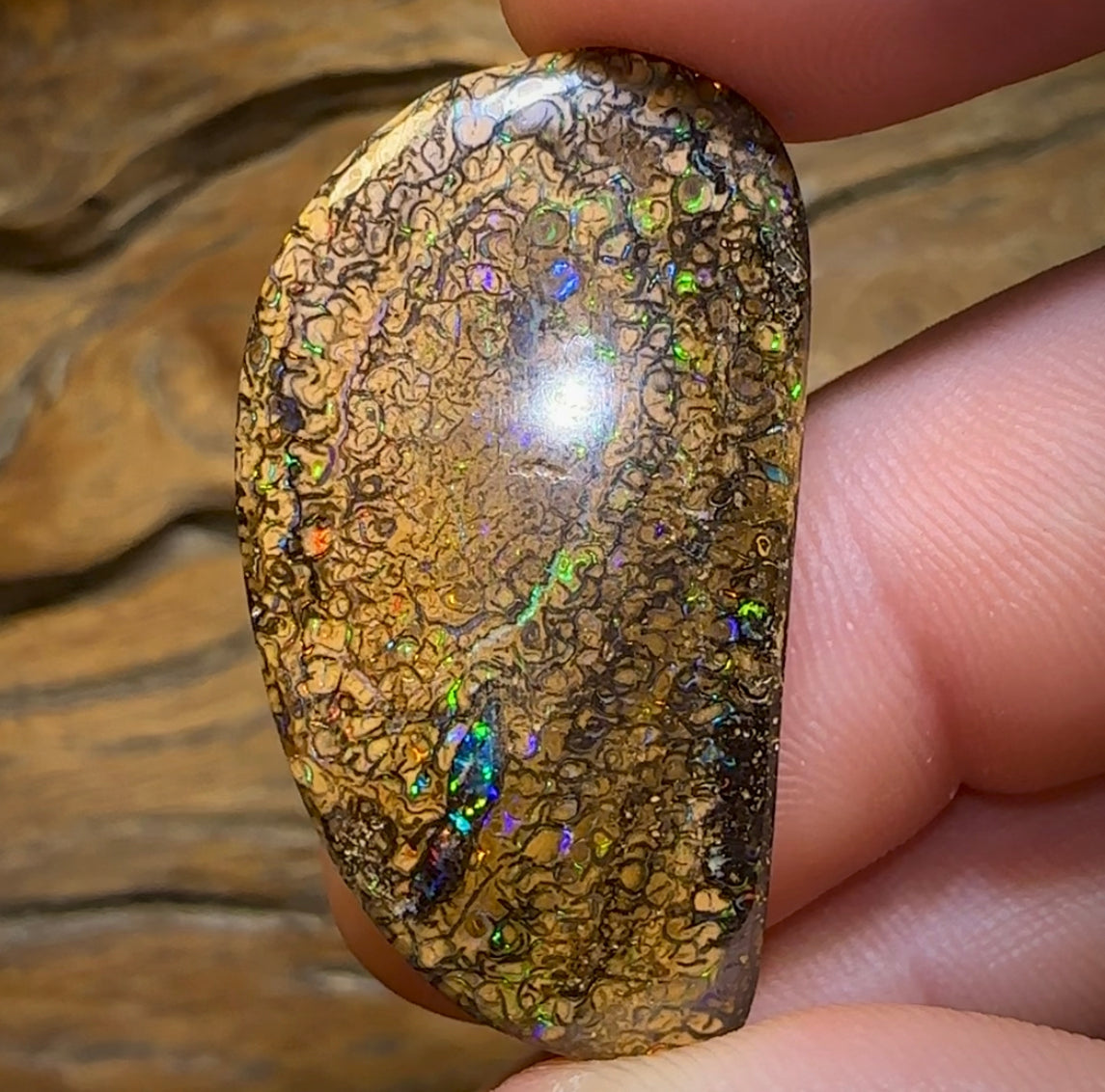 51.3cts - Yowah Nut Tribal. Australian Boulder Opal - Opal Whisperers