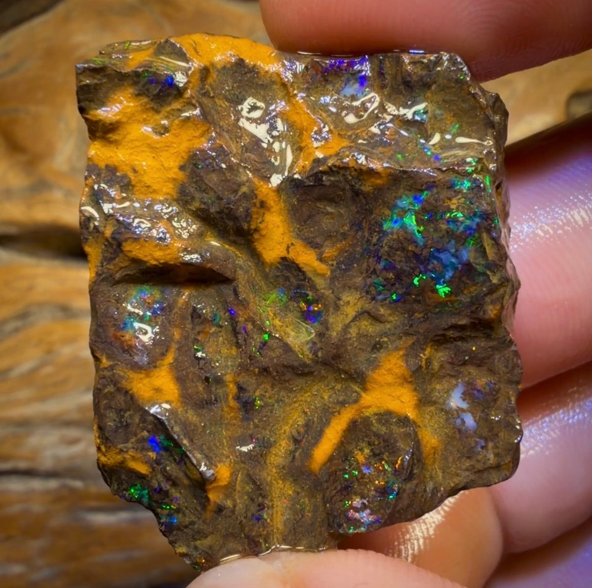 72,6 ct – Australischer Boulderopal-Rohling. Bubble Band
