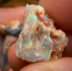 57.9cts - 9x Opalised Fossil Geological Specimens from Lightning Ridge