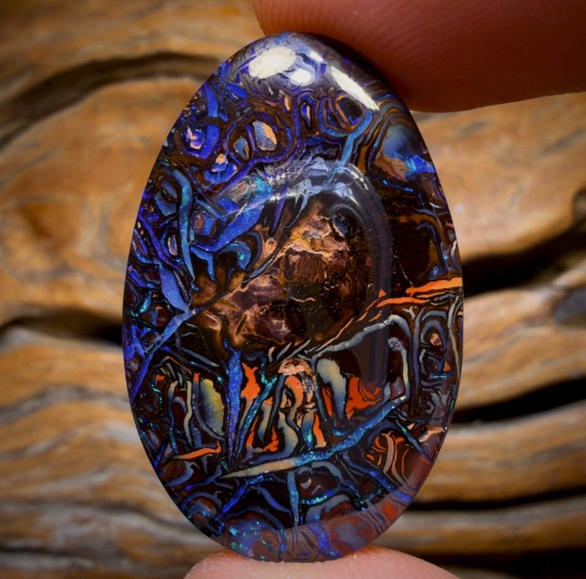 56.5cts - Wow Banger TOP Tribal Australian Boulder Opal from Koroit