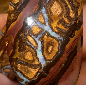 145.3cts - Queensland Boulder Opal Pair. Double Sided Picture Stones