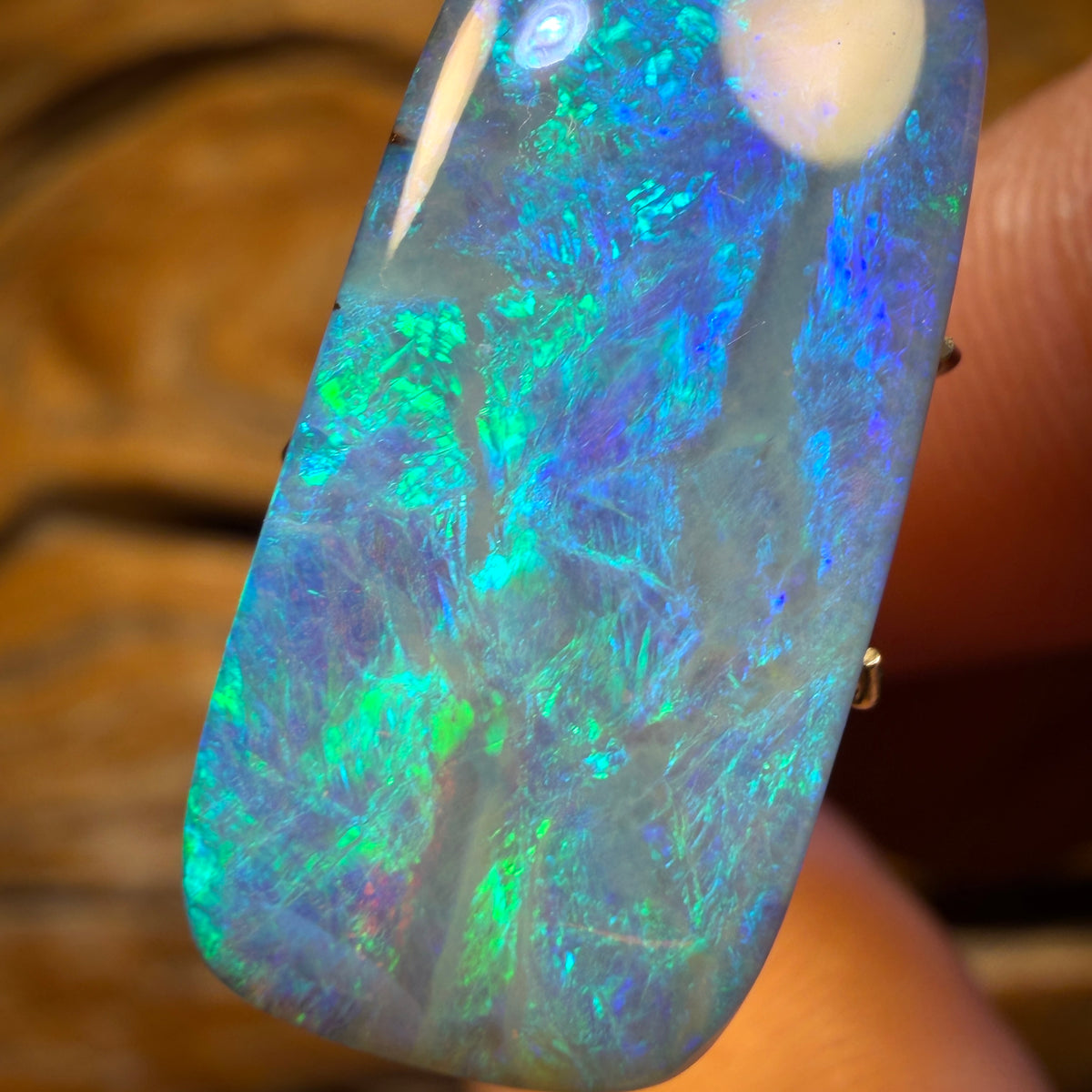 14.15cts - Top Australian Boulder Seam Opal from Winton