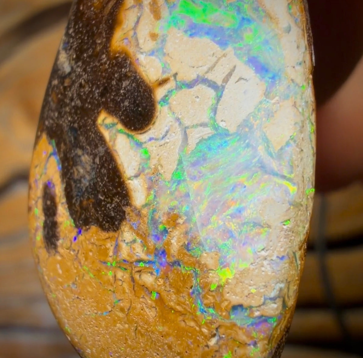 37 x 19mm - “Beach Lagoon” Drilled Queensland Boulder Opal Necklace